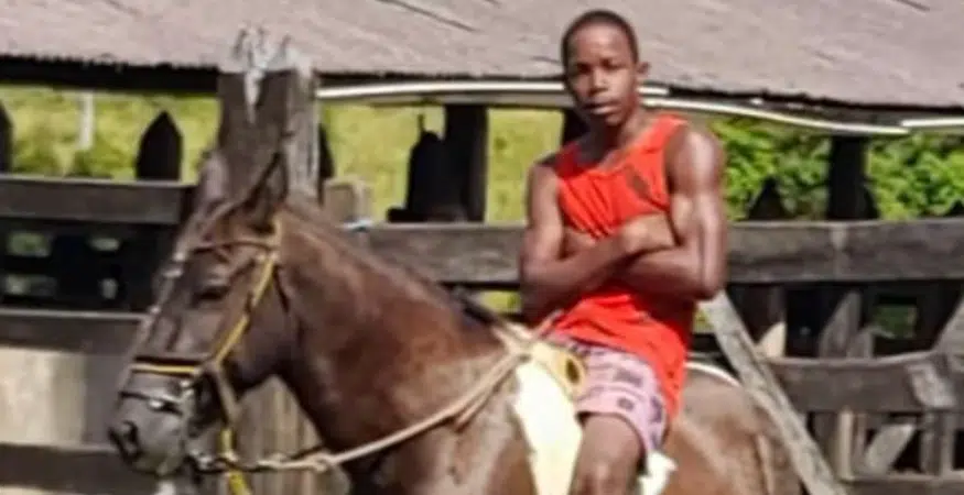 Homem morre após cair de cavalo em Mata de São João - BAHIA NO AR